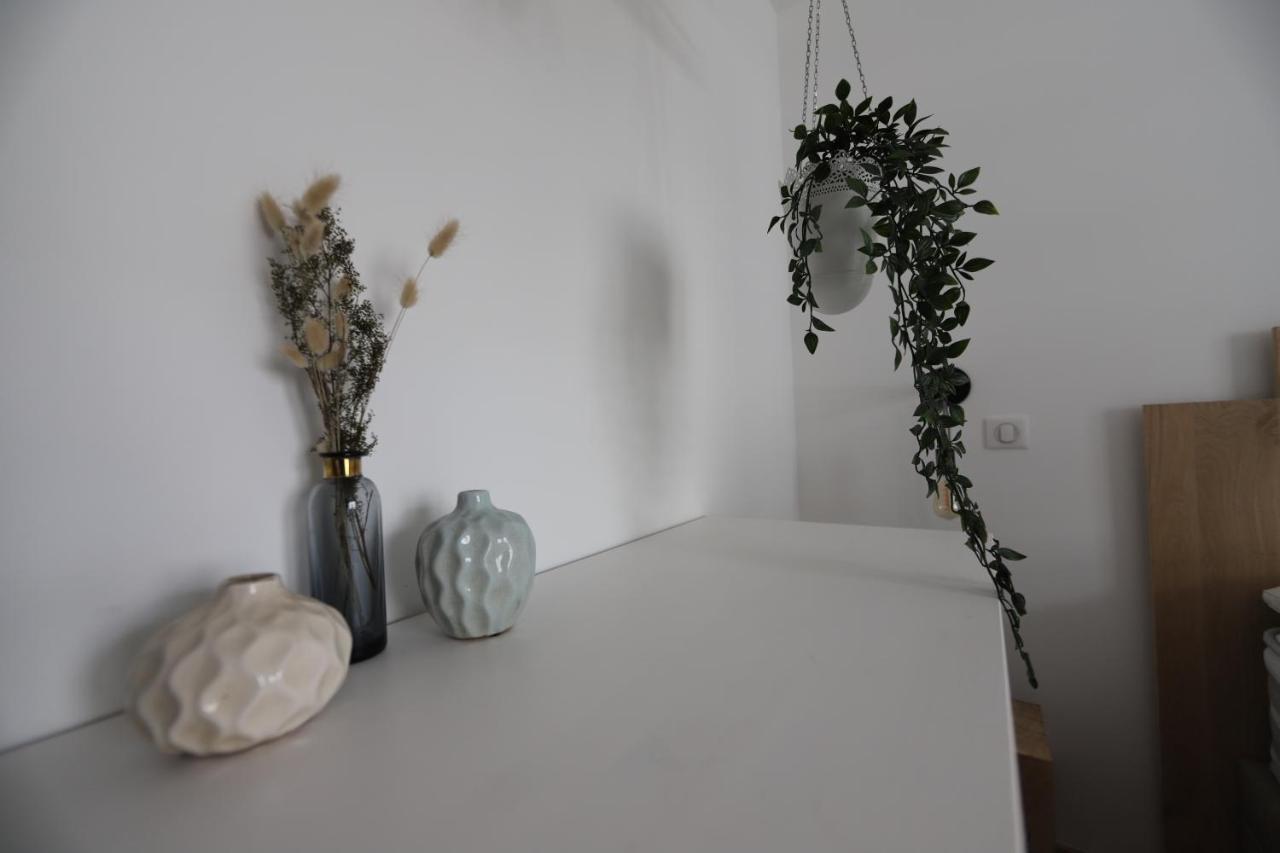 Le Lac Au Bout De La Rue - Garage Et Balcon A Deux Pas Du Centre 阿讷西 外观 照片
